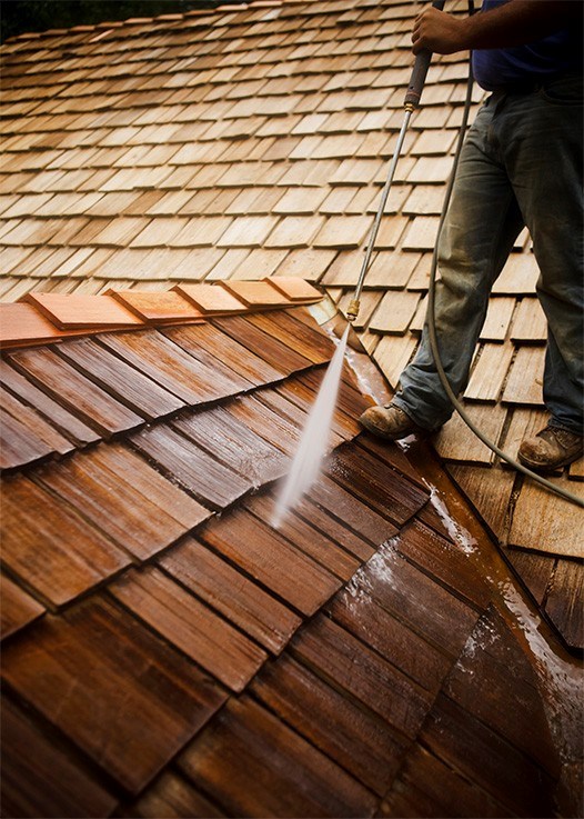roof maintenance services in Westwood ma