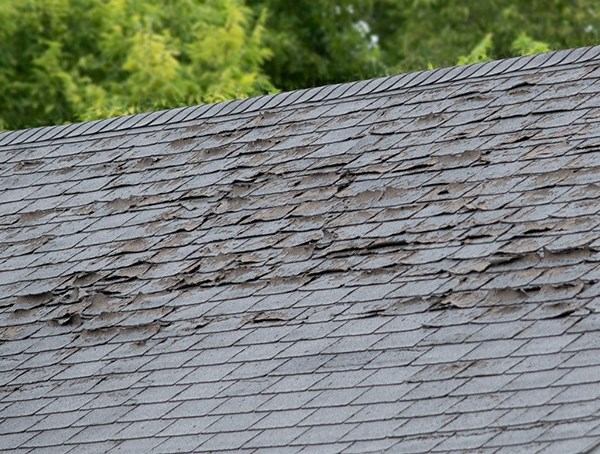 roof repair in Westwood for missing granules