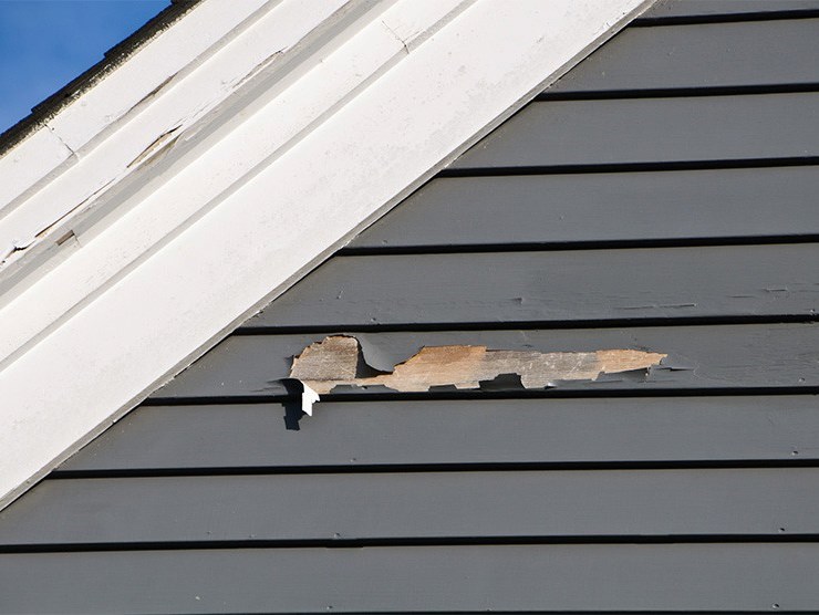 siding repair services in Westwood