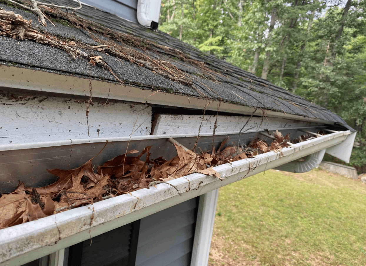 Damaged, clogged gutters.